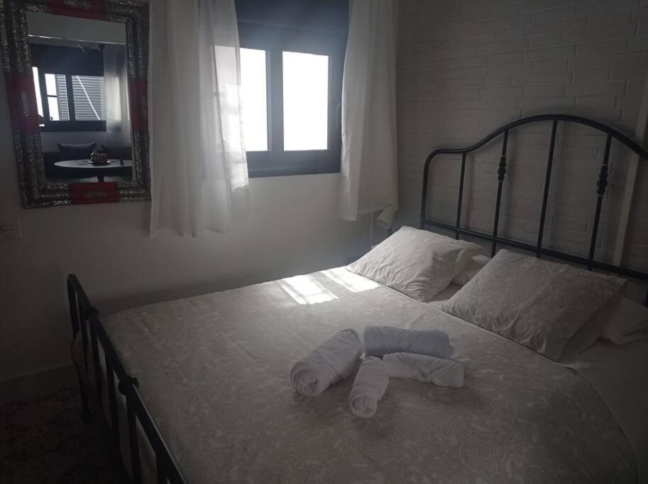 Apartament Centro De - Calle Zanca